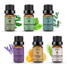 Load image into Gallery viewer, 6 Pack Essential Oils Set(Lavender,Peppermint,Orange,Tea Tree,Lemongrass,Eucalyptus)