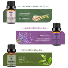 Load image into Gallery viewer, 6 Pack Essential Oils Set(Lavender,Peppermint,Orange,Tea Tree,Lemongrass,Eucalyptus)