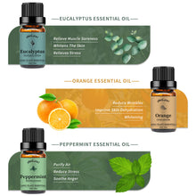 Load image into Gallery viewer, 6 Pack Essential Oils Set(Lavender,Peppermint,Orange,Tea Tree,Lemongrass,Eucalyptus)
