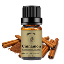 Load image into Gallery viewer, Cinnamon Essential Oil