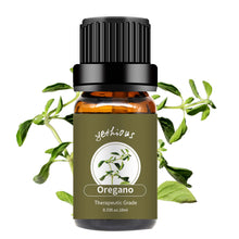 Load image into Gallery viewer, Oregano Essential Oil