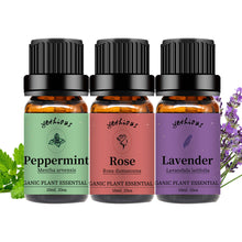 Load image into Gallery viewer, Rose Lavender Peppermint Essential Oil Set