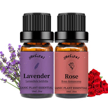 Load image into Gallery viewer, Lavender Rose Essential Oil Set
