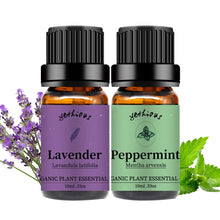 Load image into Gallery viewer, Peppermint Lavender Essential Oil Set