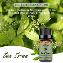Load image into Gallery viewer, Tea Tree Essential Oil