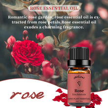 Load image into Gallery viewer, Rose Essential Oil