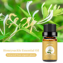 Load image into Gallery viewer, Honeysuckle Essential Oil