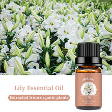 Load image into Gallery viewer, Lily Essential Oil