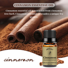 Load image into Gallery viewer, Cinnamon Essential Oil