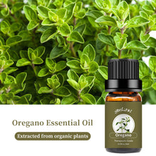 Load image into Gallery viewer, Oregano Essential Oil