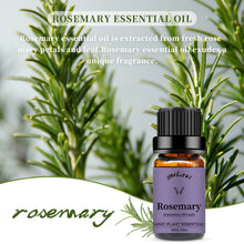 Load image into Gallery viewer, Rosemary Essential Oil