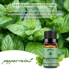 Load image into Gallery viewer, Peppermint Essential Oil