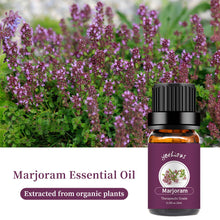 Load image into Gallery viewer, Marjoram Essential Oil