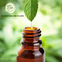 Load image into Gallery viewer, 4 Pack Essential Oils Set(Vetiver,Lemongrass,Rosemary,Eucalyptus)