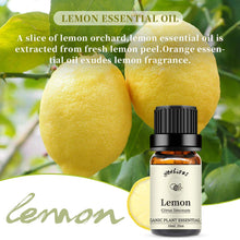 Load image into Gallery viewer, Rose Lemon Essential Oil Set