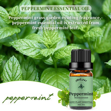 Load image into Gallery viewer, Peppermint Lavender Essential Oil Set