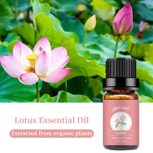 Load image into Gallery viewer, Lotus Lily Essential Oil Set