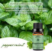 Load image into Gallery viewer, Rose Lavender Peppermint Essential Oil Set