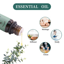 Load image into Gallery viewer, 4 Pack Essential Oils Set(Orange Lemongrass Vetiver Eucalyptus)