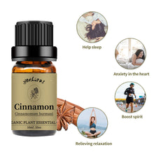 Load image into Gallery viewer, Cinnamon Essential Oil