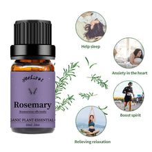 Load image into Gallery viewer, Rosemary Essential Oil
