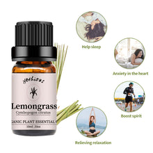 Load image into Gallery viewer, Lemongrass Essential Oil