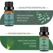 Load image into Gallery viewer, 4 Pack Essential Oils Set(Vetiver,Lemongrass,Rosemary,Eucalyptus)
