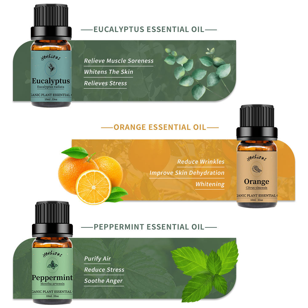 Mainstays 15mL Essential Oil Set 6PK Eucalyptus, Lvnder, Lmngrass, Sweet  Orange, Peppermnt, Tea Tree