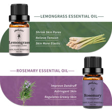 Load image into Gallery viewer, 4 Pack Essential Oils Set(Vetiver,Lemongrass,Rosemary,Eucalyptus)
