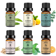 Load image into Gallery viewer, 6 Pack Essential Oils Set(Orange Lemon Peppermint Lemongrass Tea Tree Eucalyptus)
