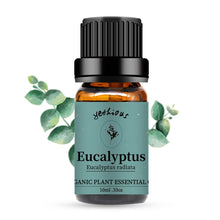 Load image into Gallery viewer, Eucalyptus Essential Oil
