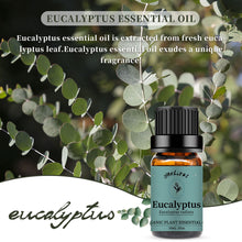 Load image into Gallery viewer, Eucalyptus Essential Oil
