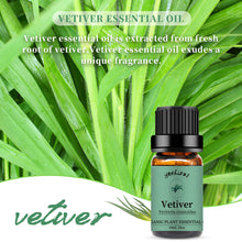 Load image into Gallery viewer, 4 Pack Essential Oils Set(Vetiver Cinnamon Tea Tree Eucalyptus )
