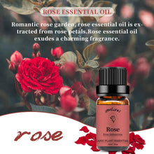 Load image into Gallery viewer, Rose Lavender Peppermint Essential Oil Set
