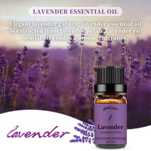 Load image into Gallery viewer, Peppermint Lavender Essential Oil Set
