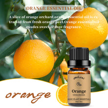 Load image into Gallery viewer, 4 Pack Essential Oils Set(Orange Lemongrass Vetiver Eucalyptus)
