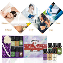 Load image into Gallery viewer, 6 Pack Essential Oils Set(Neroli Peppermint Lavender Lemon Orange Coconut)
