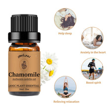 Load image into Gallery viewer, Chamomile Lavender Essential Oil Set
