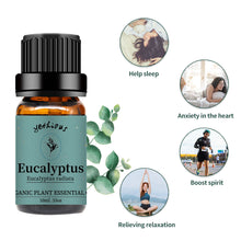 Load image into Gallery viewer, Eucalyptus Essential Oil
